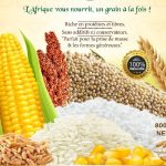Touboule Céréales : De la Ferme à Votre Assiette, un Engagement Qualité